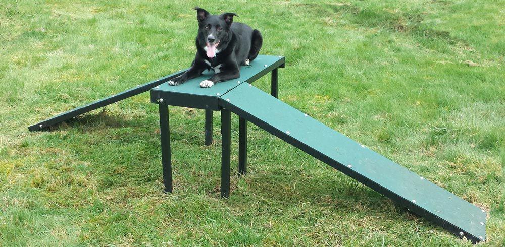 outdoor dog equipment