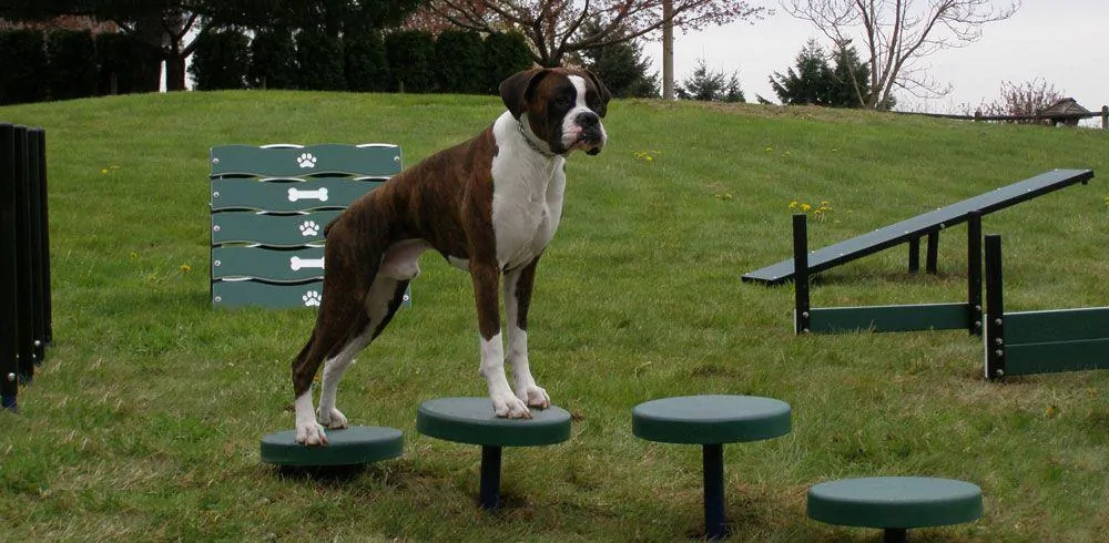 plastic dog playground equipment