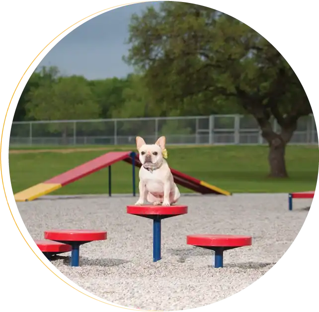 dog park equipment